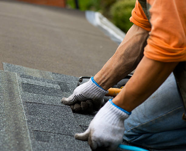 Quick and Trustworthy Emergency Roof Repair Services in East Bethel, MN